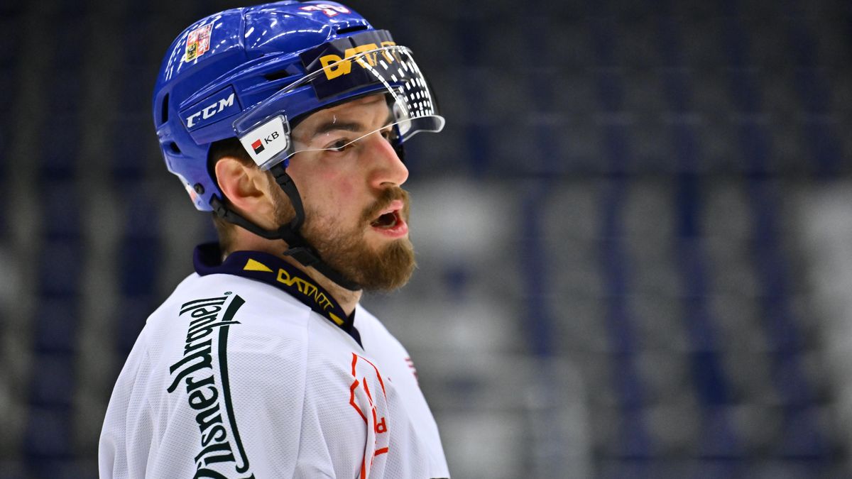 Štve ho Kulichova nemoc, návrat do reprezentace po pěti letech ale těší. Můžu se zase ukázat, říká Rousek